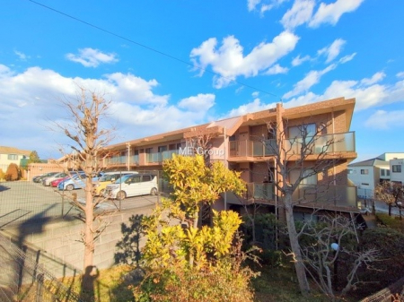 ���n�O�ώʐ^�@�O��