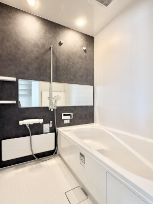 �����@�����������������F�����̕ǖʁA������芰����o�X���[��