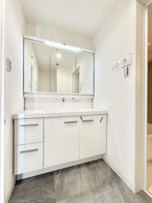 ���ʑ�E���ʏ��@���������̏������X���[�Y�ɂł���L���ł�