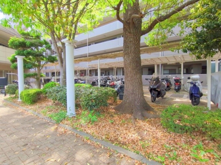 ���̑��@�O��