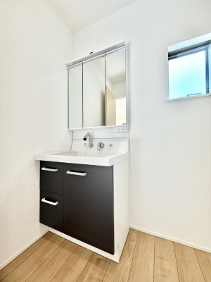 ���ʑ�E���ʏ��@���������̏������X���[�Y�ɂł���L���ł�