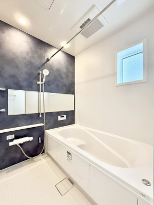 �����@�����������������F�����̕ǖʁA������芰����o�X���[��