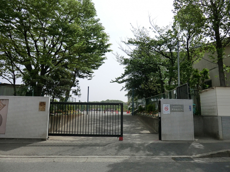 ���ӊ��@���w�Z 100m ���s���쐶�c���w�Z