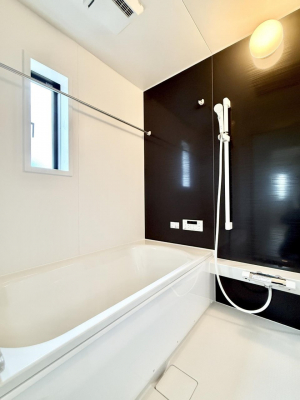 �����@�����������������F�����̕ǖʁA������芰����o�X���[��