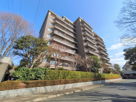 ���n�O�ώʐ^�@�O��