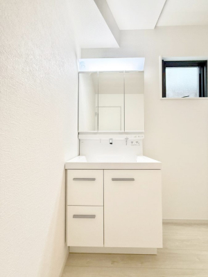 ���ʑ�E���ʏ��@���������̏������X���[�Y�ɂł���L���ł�