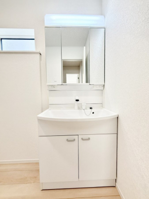 ���ʑ�E���ʏ��@���������̏������X���[�Y�ɂł���L���ł�