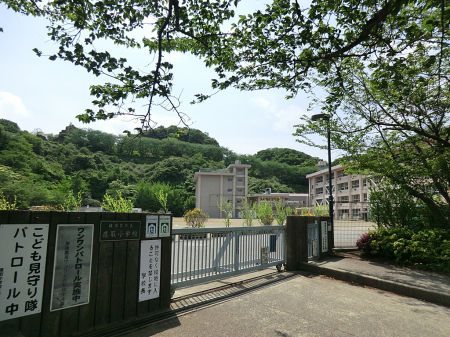 ���ӊ��@���w�Z 1100m ���{��s����揬�w�Z