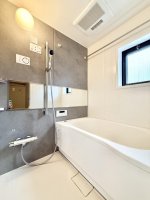 �����@�����������������F�����̕ǖʁA������芰����o�X���[��