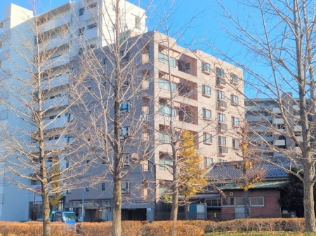 ���n�O�ώʐ^�@�O��