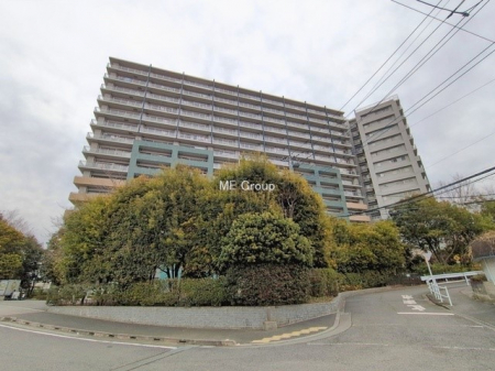 ���n�O�ώʐ^�@�O��