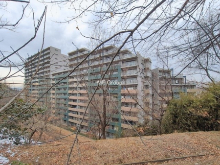 ���n�O�ώʐ^�@�O��