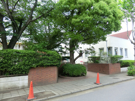 ���ӊ��@�c�t���E�ۈ牀 3700m ���܂���c�t��