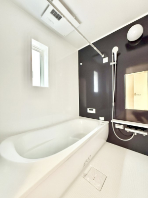 �����@����������̔�������A�S����������Ԃł�