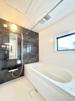 �����@�����������������F�����̕ǖʁA������芰����o�X���[��