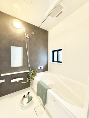 �����@�����������������F�����̕ǖʁA������芰����o�X���[��