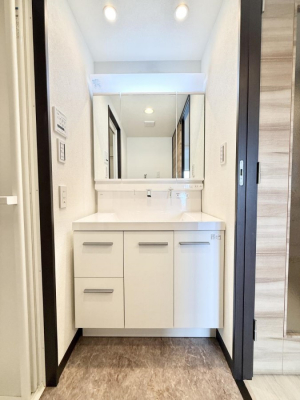 ���ʑ�E���ʏ��@���������̏������X���[�Y�ɂł���L���ł�