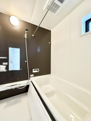 �����@�����������������F�����̕ǖʁA������芰����o�X���[��