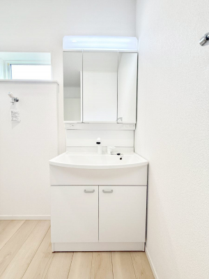 ���ʑ�E���ʏ��@���������̏������X���[�Y�ɂł���L���ł�