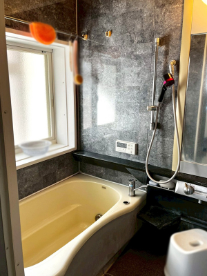 �����@����������̔�������A�S����������Ԃł�