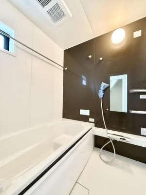 �����@�����������������F�����̕ǖʁA������芰����o�X���[��