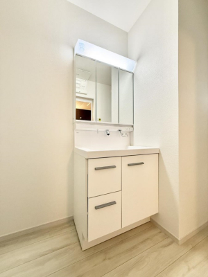 ���ʑ�E���ʏ��@���������̏������X���[�Y�ɂł���L���ł�