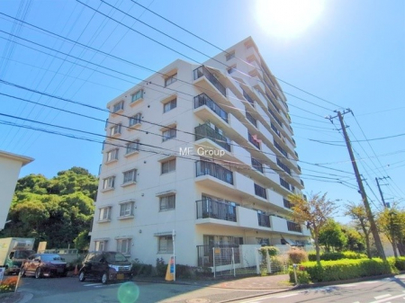 ���n�O�ώʐ^�@�O��