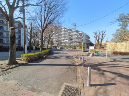 ���n�O�ώʐ^�@�O�ρ��V�����Z�܂��A�X�̐V�������i