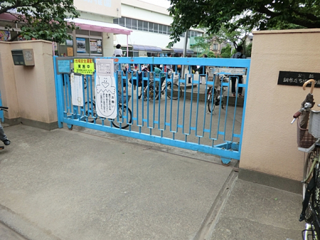 ���ӊ��@�c�t���E�ۈ牀 800m �����΂ȗc�t��