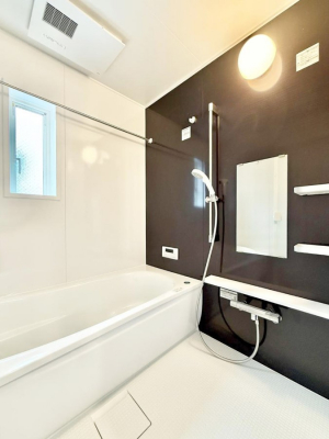 �����@�����������������F�����̕ǖʁA������芰����o�X���[��