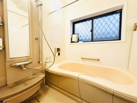 �����@����������̔�������A�S����������Ԃł�