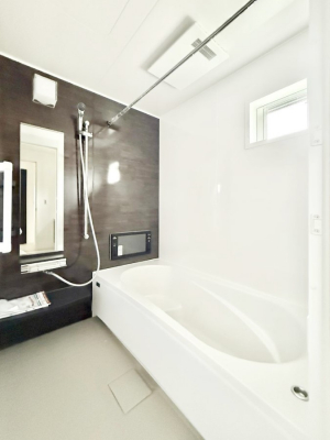 �����@�����������������F�����̕ǖʁA������芰����o�X���[��