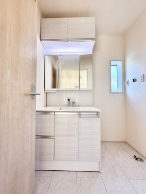 ���ʑ�E���ʏ��@���������̏������X���[�Y�ɂł���L���ł�