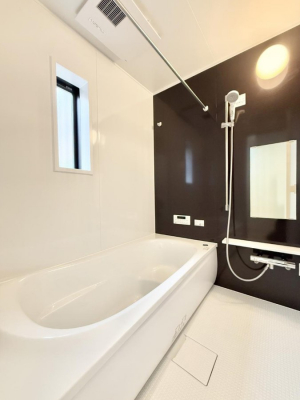 �����@�����������������F�����̕ǖʁA������芰����o�X���[��