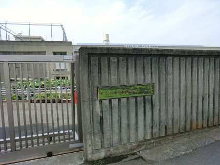 ���ӊ��@���w�Z 400m ���s�����ێq���w�Z