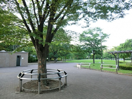 ���ӊ��@���� 550m �l�J���������