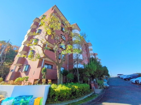 ���n�O�ώʐ^�@�O��