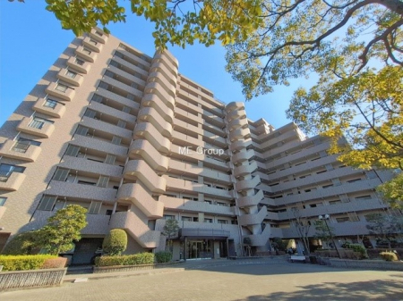 ���n�O�ώʐ^�@�O��