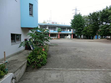 ���ӊ��@�c�t���E�ۈ牀 1100m �w�Z�@�l����w�� �F�肱�ǂ��� �����̂����c�t��