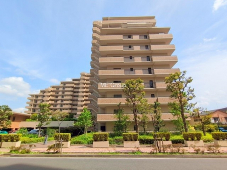 ���n�O�ώʐ^�@�O��