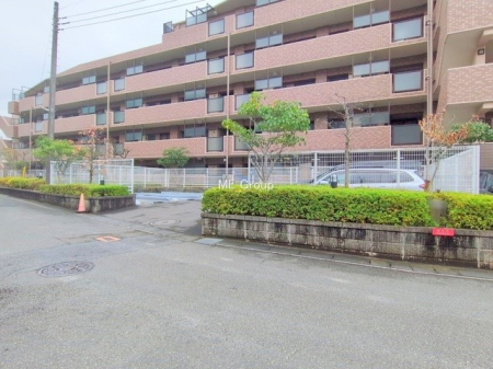 ���n�O�ώʐ^�@�O��