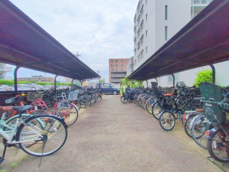 ���̑��@�O��