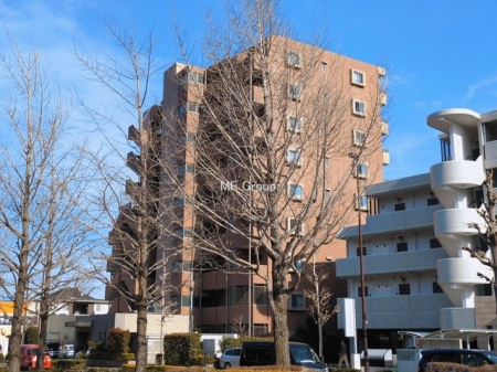 ���n�O�ώʐ^�@�O��