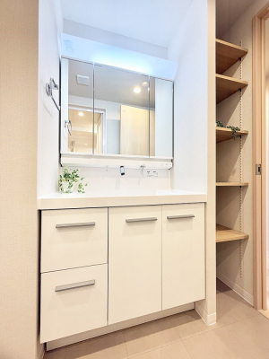 ���ʑ�E���ʏ��@����