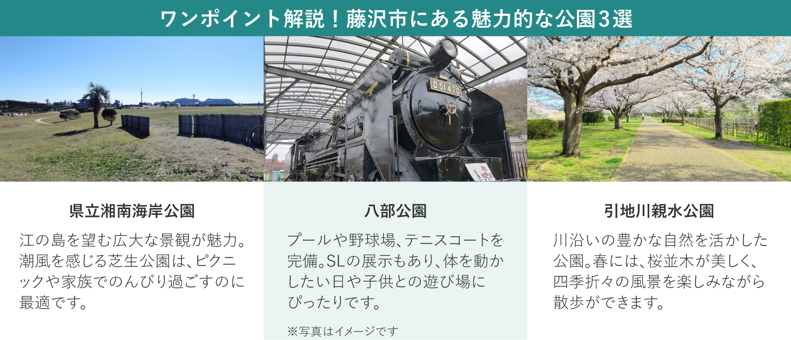 藤沢市にある魅力的な公園3選