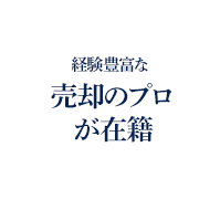 ���p�̃v�����ݐ�